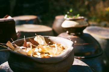 fallen leaves in a jar korean traditional