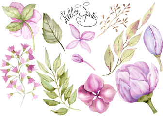 Watercolor Hand Drawn Floral Set of different Flowers for wedding, invitations, cards, print, etc.