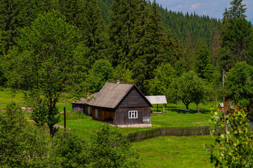 Wooden houses in the Carpathians forest