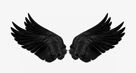 black wings isolated on a white background