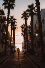 Three guys walking into sunset on road with palms. Malta. Youth, friendship, togetherness concept. Vacation mode