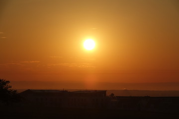 Morgensonne bei Rödermark-Urberach