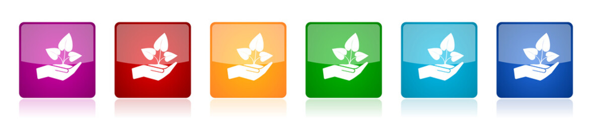 Plant care hand icon set, colorful square glossy vector illustrations in 6 options for web design and mobile applications