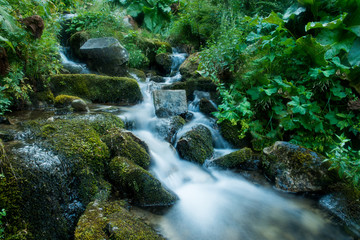 Scenic creek in the green Carpathian mountains, long exposure