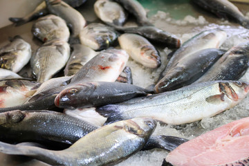 Freshly caught fish on the counter at the market