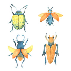 Watercolor beetles. Colorful bugs