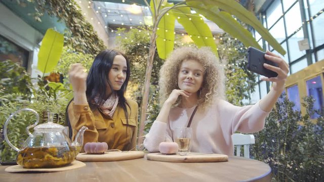 Young beautiful blonde woman and her female Asian friend taking selfie with smartphone, then checking picture and discussing it while sitting at table in restaurant decorated with green plants