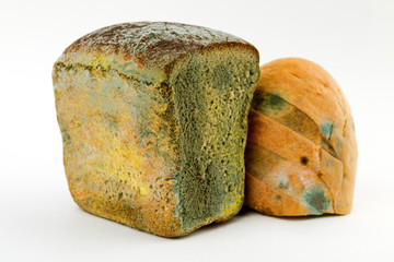 Mouldy bread on a white background. Expired pastries
