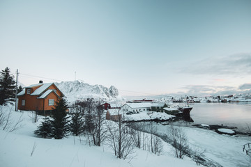 classical Norwegian houses in reine lofoten islands