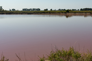 The amazing pink water in Aigues Mortes Salt Marsh, Camargue