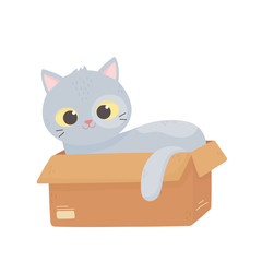 cute gray cat lying in the cardboard box cartoon