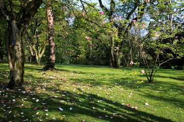 Verbania (VCO), Italy - April 01, 2017: Villa Taranto botanical gardens, Verbania, Piedmont, Italy