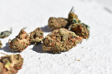 weed cannabis buds