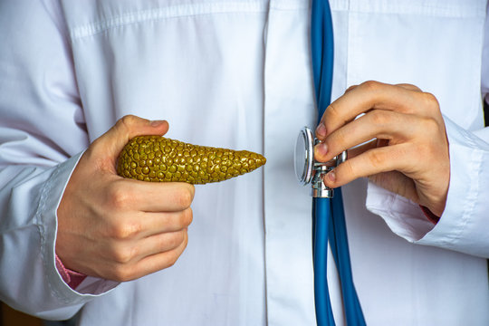 Concept photo of diagnosis in gastroenterology. Doctor hold in one hand model of human pancreas, in other stethoscope and conducts diagnostic process and presence of pancreas gland diseases, diabetes