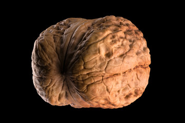 Macro photo of whole walnut isolated on a black background with clipping path