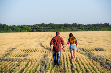 Fototapeta na wymiar pair of falling in love идут on the field of wheat in summer for a hand from a back