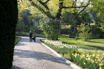 Verbania (VCO), Italy - April 01, 2017: Villa Taranto botanical gardens, Verbania, Piedmont, Italy