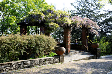 Verbania (VCO), Italy - April 01, 2017: Villa Taranto botanical gardens, Verbania, Piedmont, Italy