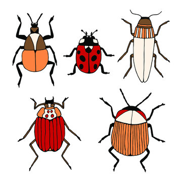 Vector hand drawn set of colorful beetles outline doodle icon. Insects sketch illustration isolated on white background.