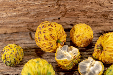 Fruit of the Annona crassiflora tree known as "araticum" very similar to the earl's fruit.