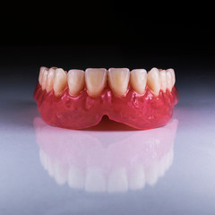 upper jaw full denture a2 color
