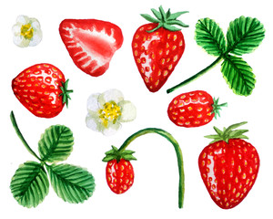 Watercolor set of strawberry berries, flowers, leafs, isolated on white background