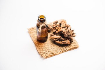Fototapeta na wymiar Ayurvedic Chitrak essential Oil in a bottle. It's an extract of plumbago zeylanica.