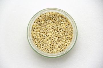 Glass jar with barley on a white background, top view