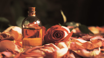 Obraz na płótnie Canvas Aroma oil glass bottle among roses petals on the table, natural raw material, selected focus