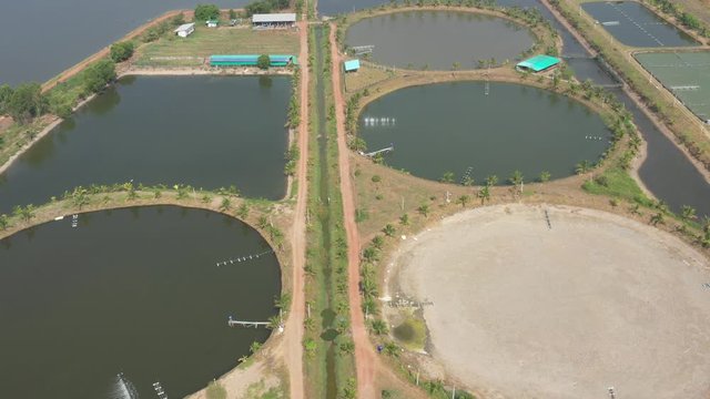 Aerial view from flying drone of Fish pond, fish farm