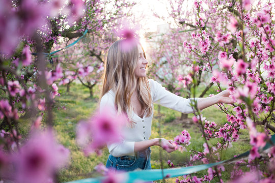 Happy smiling and beautiful young female in blue jeans and white tshirt on sunny summer evening pick flower petals from trees. Spring outdoor lifestyle, connection with nature