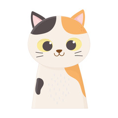 cute cat portrait cartoon feline animal icon design