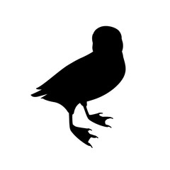 Black silhouette atlantic puffin bird cartoon animal design flat vector illustration isolated on white background