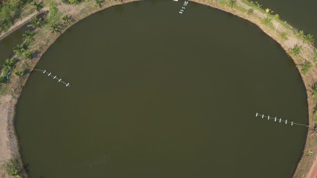 Aerial view from flying drone of Fish pond, fish farm