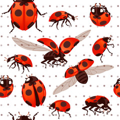 Obraz na płótnie Canvas Seamless pattern ladybug with open shell and wings flying beetle cartoon bug design flat vector illustration on white dotted background