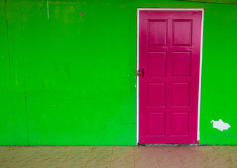 Green wall with bright pink door, with copy space.