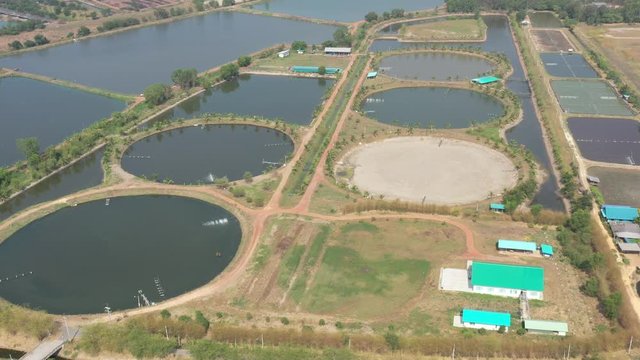 Aerial view from flying drone of Fish pond, fish farm
