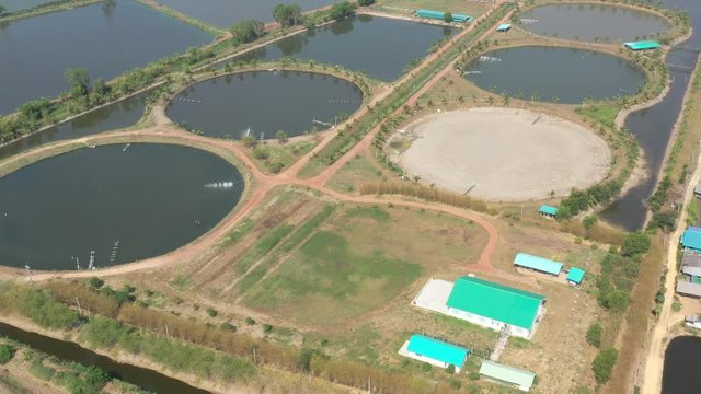 Aerial view from flying drone of Fish pond, fish farm