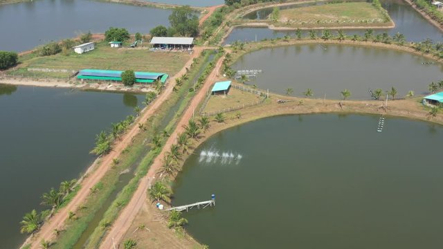 Aerial view from flying drone of Fish pond, fish farm