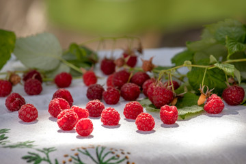 fresh raspberries 