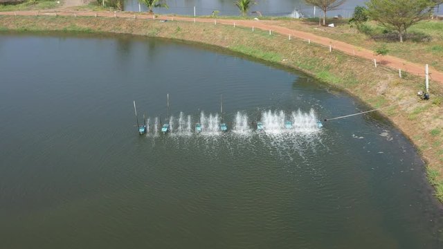 Aerial view from flying drone of Fish pond, fish farm