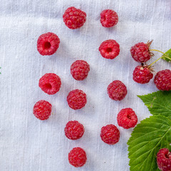 fresh raspberries 