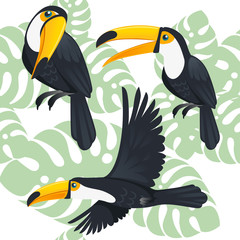 Seamless pattern of mature brazilian toucan bird cartoon animal design flat vector illustration on white background with green leaves