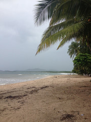 Tamarindo Costa Rica trees and beach