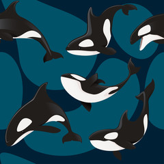 Fototapeta premium Seamless pattern of killer whale orca cartoon animal design flat vector illustration on blue background