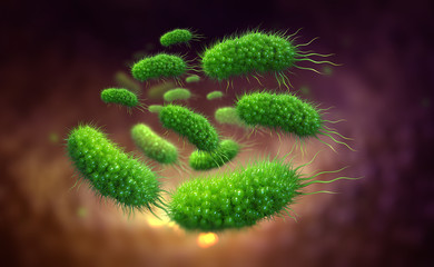 Escherichia coli, colony of bacteria 3D illustration. Microorganisms in aquatic environment under microscope. Probiotics. Intestinal bacteria, Gut flora