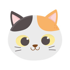 cute cat face feline cartoon animal icon