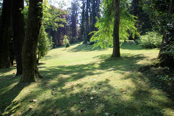 Obraz premium Stresa (VCO), Italy - June 02, 2018: Villa Pallavicino garden, Stresa, Verbano-Cusio-Ossola, Piedmont, Italy.