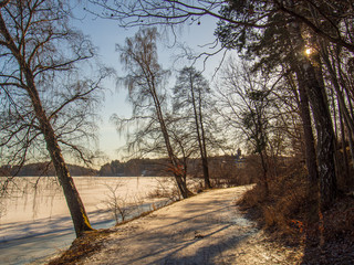 tree lined path in park during winter by frozen lake