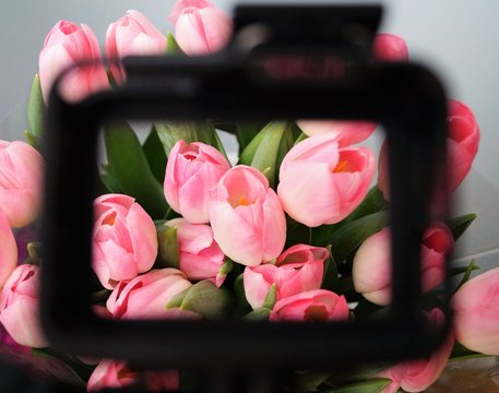 Bouquet Of Tulips In Obsti Camcorder Spring Decor Items